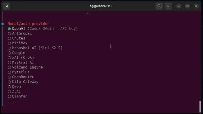install-openclaw-on-linux-ubuntu_09